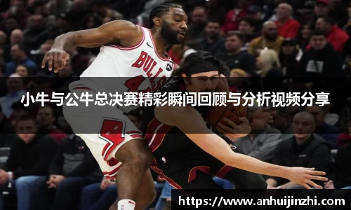 小牛与公牛总决赛精彩瞬间回顾与分析视频分享